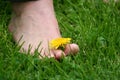 Foot on the grass Royalty Free Stock Photo