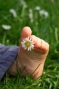 foot in grass