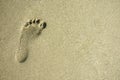Foot imprint on sand Royalty Free Stock Photo