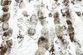 Foot imprint in snow