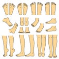 Foot and leg, knee and toe, vector file set Royalty Free Stock Photo