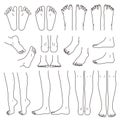 Foot and leg, knee and toe, vector file set Royalty Free Stock Photo