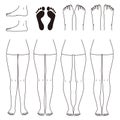 Foot and leg, knock knees, bow legs and normal legs, flat foot, bunion, and normal foot, vector file set