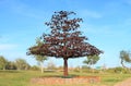 Arizona Tempe: Steel Tree Sculpture in Linear Park of Rio Salado Royalty Free Stock Photo