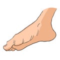 Foot male bottom out side. vector illustration