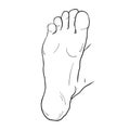 The foot male up sole. vector illustration