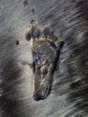 Foot Mark of Kid on Sea Beach Sand