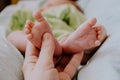 Tiny feet of newborn baby. Mother`s hand massaging baby feet. Maternity concept. Royalty Free Stock Photo