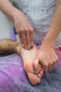 Foot massage. Masseuse physiotherapist giving leg massage to a man in clinic. Close up. Royalty Free Stock Photo