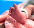 Foot of newborn baby in postpartum care unit in hospital when she sleep with her mother, so cute. Royalty Free Stock Photo