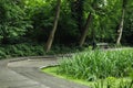 Foot path around the pond Royalty Free Stock Photo