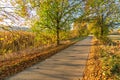 Foot path or bike lane in beautiful rural, colorful autumn landscape Royalty Free Stock Photo