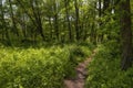 Foot path leading to the Everett Covered Bridge in Penisula, Ohio, USA