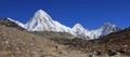Foot path leading towards the Everest Base Camp Royalty Free Stock Photo