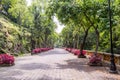 Foot path to the Chapultepec Castle.  Located on top of Chapultepec Hill in the Chapultepec park in the downtown of Mexico City Royalty Free Stock Photo