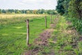 Foot path between trees and a fence with barbed wire