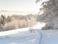 Foot path - winter