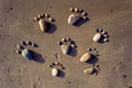 Foot, pebble, sand, art, beach Royalty Free Stock Photo