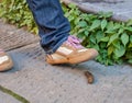 Foot of a pedestrian who is about to step on a dog poop Royalty Free Stock Photo