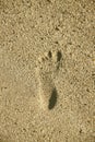 Foot print on the beach sand Royalty Free Stock Photo