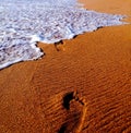 foot print on beach sand