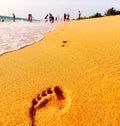 foot print in dehiwala beach