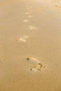 Foot print in the fine sand beach, foot step, evening day light Royalty Free Stock Photo