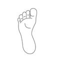 Foot print icon. Vector illustration bare foot symbol on white background Royalty Free Stock Photo