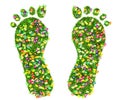A foot print made of green grass and flowers isolated Royalty Free Stock Photo