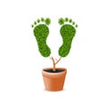 Foot Print Made of Green Grass Royalty Free Stock Photo