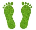 A foot print made of green grass isolated Royalty Free Stock Photo
