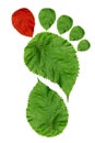 Foot print of mother nature. Way to the survival Royalty Free Stock Photo