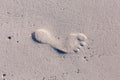 Foot print on sand on the beach close up Royalty Free Stock Photo