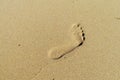 Foot print on sand Royalty Free Stock Photo