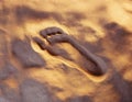 Foot print in the sand Royalty Free Stock Photo