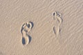 Foot print in sand dunes Royalty Free Stock Photo