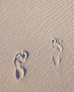 Foot print in sand dunes Royalty Free Stock Photo