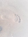 Foot print texture on sand beach white color wall background Royalty Free Stock Photo