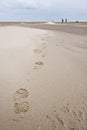 Foot print of woman walking in the sand dunes Royalty Free Stock Photo