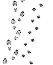 Foot prints Royalty Free Stock Photo