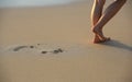 Foot Prints on Beach