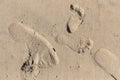 Foot Prints In The Beach Sand Royalty Free Stock Photo