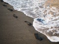 Foot prints on a black sand beach with tilt-shift blur. Surf in background. Concept for loneliness, solitude, depression