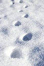Foot prints Royalty Free Stock Photo
