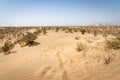 Foot prints in desert landscape near Yazd in Iran Royalty Free Stock Photo