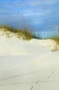 Foot prints on dune