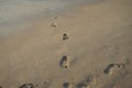 Foot prints without feet on a beach. Royalty Free Stock Photo