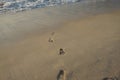 Foot prints without feet on a beach. Royalty Free Stock Photo