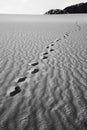 Foot prints of human on a sand dune. Royalty Free Stock Photo
