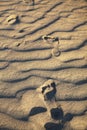 Foot prints of human on a sand dune. Royalty Free Stock Photo